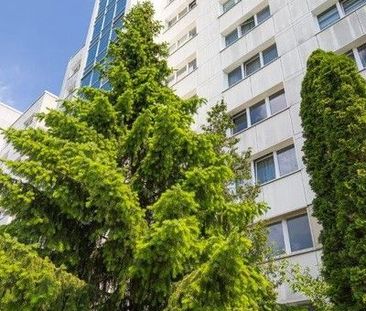 Ihre neue 2-Zimmer-Wohnung wartet. Termin vereinbaren und ansehen! - Photo 1