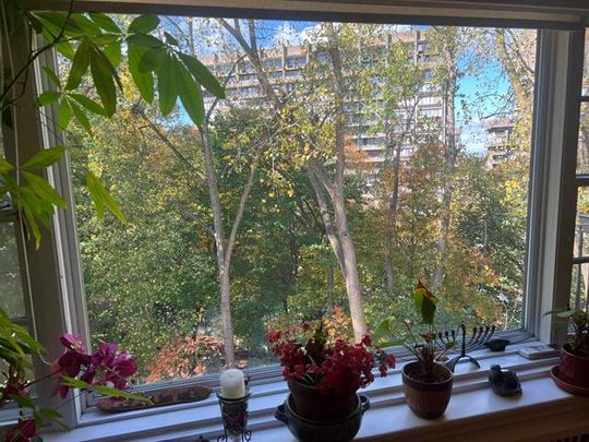 3445 Av. Ridgewood - Photo 1