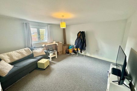 Bull Close - Photo 4