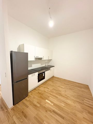 Generalsanierte Erstbezugswohnung beim Kaiser Josef Platz - Provisionsfrei! - Foto 2