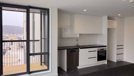 Modern North Facing Apartment in Te Aro - Photo 4