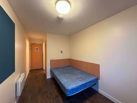 Standard En-Suite - Photo 4