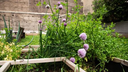 Studio 18/19m² rue - Photo 4