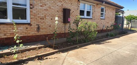 2 Martin Street GLYNDE SA 5070 - Photo 4