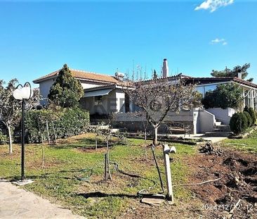 Βίλα για ενοικίαση Λαγονήσι (Καλύβια Θορικού) - Φωτογραφία 1