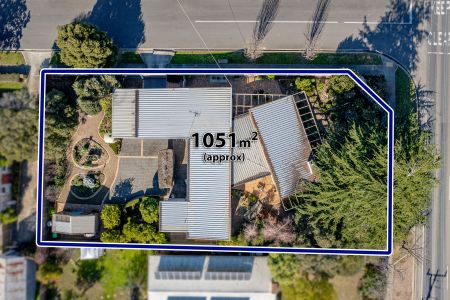 GISBORNE GEM - Photo 3