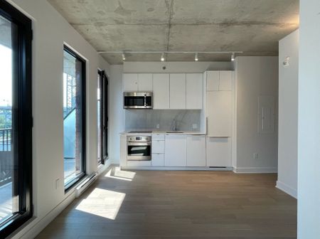 Appartement à louer - Montréal (Ville-Marie) (Centre) - Photo 4