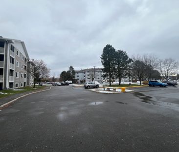 For Lease - 316 Lorry Greenberg Drive Unit# 117, Hunt Club - South ... - Photo 3