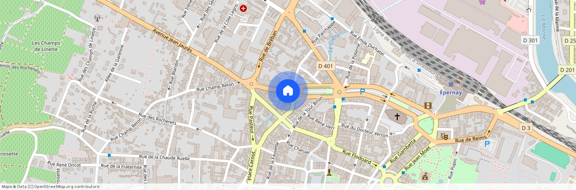 3 RUE DU FAUBOURG D'IGNY, 51200, Epernay