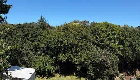 Charming 3BR Home Near Raumati Beach! - Photo 5