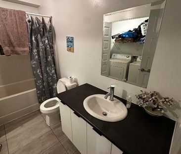 1 Bed 1 Bathroom Apartment for rent - Photo 4