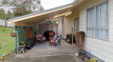 Cosy Family Home in Waihi Township - Photo 2