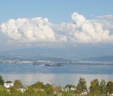 Modern 2.5-room apartment in a quiet panoramic location of Richterswil - Foto 3