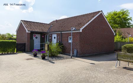Ringkøbing opland - Foto 2