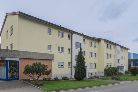 Schöne Wohnung mit sehr grosser Terrasse - Foto 2