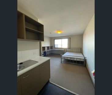 58 Harriet Street, Waratah, NSW 2298 - Photo 4