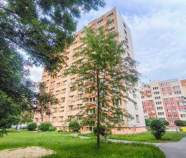Pronájem bytu 1+1 36 m² - Fotografie 3