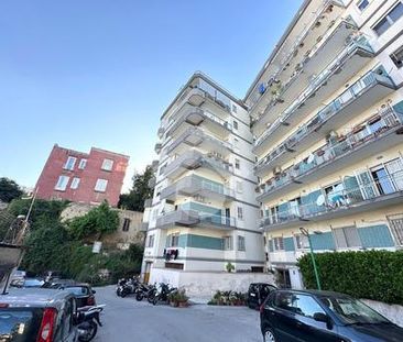 Quadrilocale in affitto - Photo 3