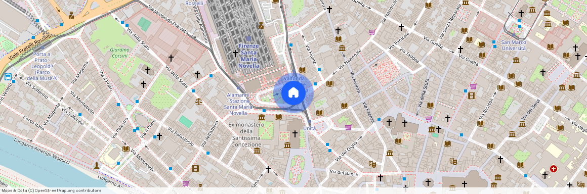 Stazione S.M.N. direzione Borgo Ognissanti