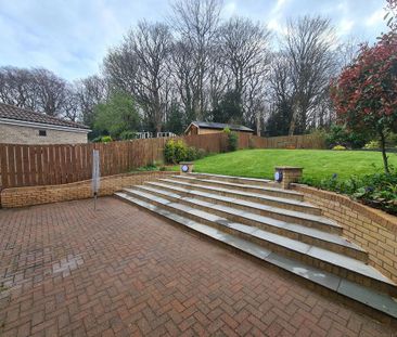 3 bedroom semi-detached house to rent - Photo 4