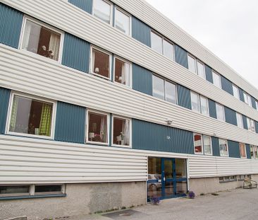 Hamnplan 18 B, 94161, Piteå - Foto 1