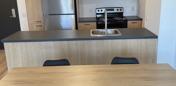 APPARTEMENT MEUBLÉ 3 1/2 - Photo 2