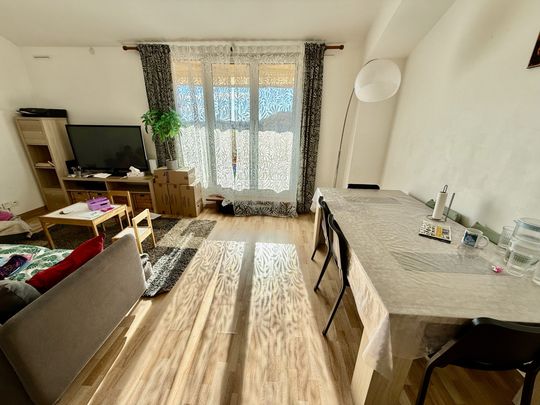 Location Appartement 4 pièces 77m² HYERES 83400 - Photo 1