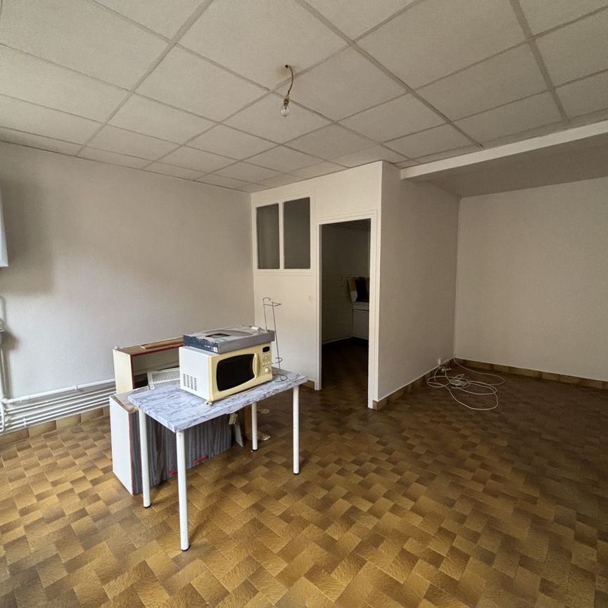 LOCATION 69250 NEUVILLE SUR SOANE - Appartement T3 de 69 m2 , Neuville-sur-saône - Photo 1