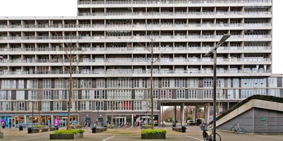 Professor de Moorplein, 340 - Photo 3