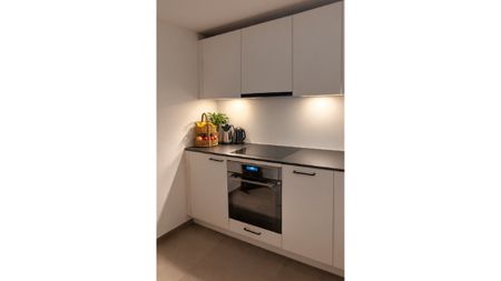 1½ Zimmer-Wohnung in Lyss (BE), möbliert, auf Zeit - Foto 5