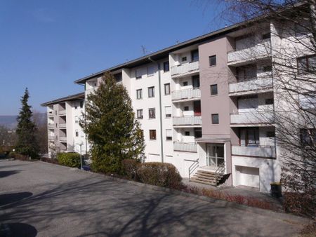 Location Appartement 2 pièces 33m² CRAN GEVRIER 74960 - Photo 5