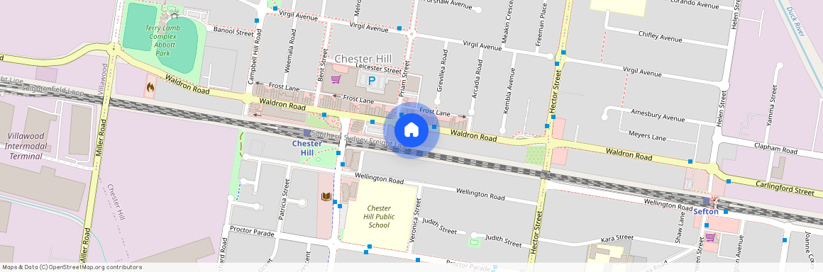 111 Waldron Road, NSW 2162, Chester Hill