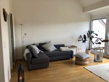 APPARTEMENT DE 2 PIÈCES À WINTERTHOUR, MEUBLÉ, TEMPORAIRE - Foto 2