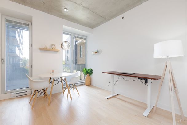 1800 Boul. René-Lévesque O., apt. 217 - Photo 1