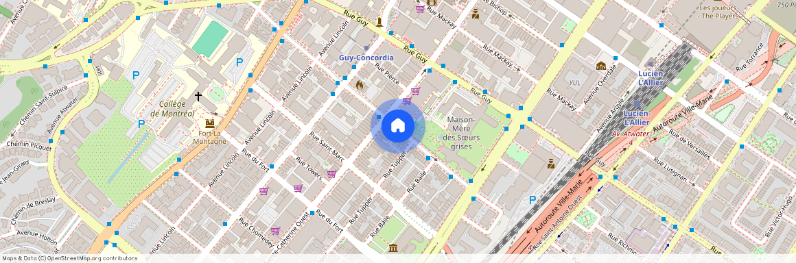 1420 St Mathieu, Ville-Marie, Ville-Marie, Ile de Montréal, H3H 2H8