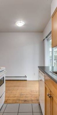 Available Nov 1st-FURNISHED Junior 1 BR,PETS ALLOWED@1985 W 8th Ave - Photo 1