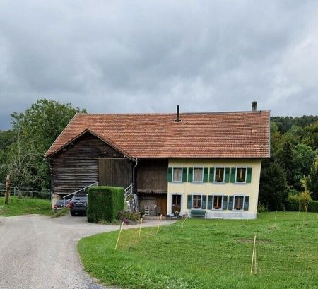 Charming 2.5 room apartment on the ground floor for rent - Photo 5