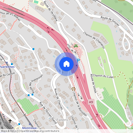 1820, Montreux, Chemin De La Boriodaz, 22