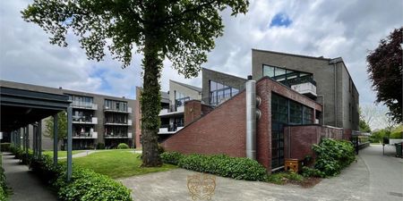 Assistentie-appartement te huur in Kontich voor € 827 met 1 slaapkamer - Foto 4
