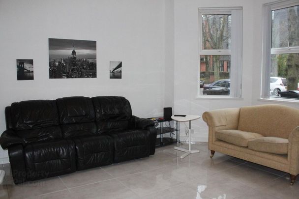 Room 4, 85 Wellington Park, Lisburn Road, BT96DN, Belfast - Photo 1