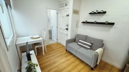 Paseo de las Delicias, Madrid, Community of Madrid 28045 - Photo 3