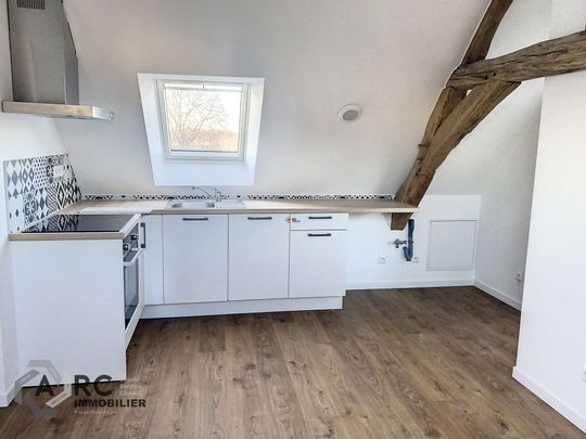 Appartement à louer, 3 pièces - Saint-Ay 45130 - Photo 1