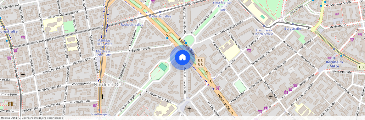 Martin Luther Straße 23, 60316 Frankfurt am Main - Nordend