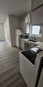 2 bedroom + 1 bathroom + den + basement - Photo 3