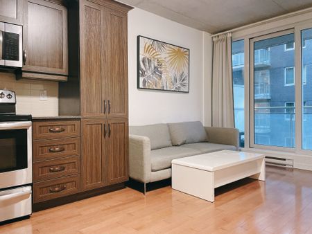 1235 Rue Bishop Montréal (Ville-Marie), QC H3G - Photo 4