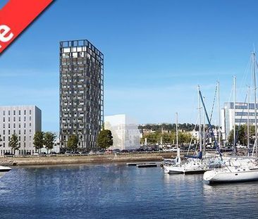 Location Appartement 1 pièce 23m² LE HAVRE 76600 - Photo 4