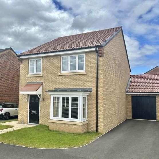 Oak Drive, Sowerby, Thirsk, YO7 - Photo 1