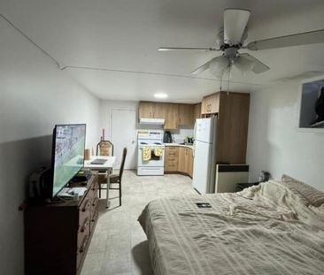 Beau Studio 1 1/2 a Brossard Secteur A Pres de Trascherau et Panama - Photo 4