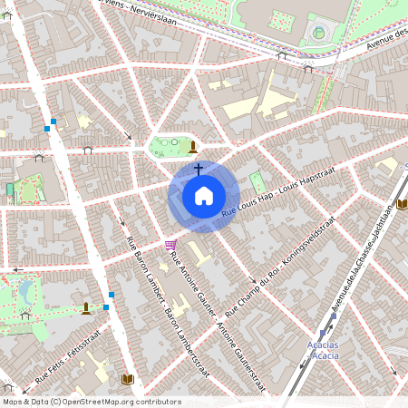 Kolonel Van Gelestraat 36, 1040 Etterbeek