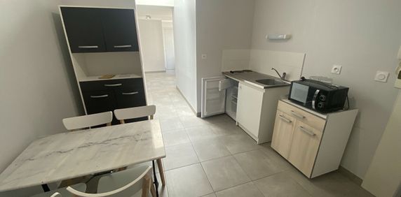 LAVAL, appt T2 Meublé au RDC - Photo 2